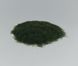 Трава (лісова), 5 мм, флок. Arion Models AM.G102, 30 г
