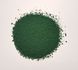 Трава темно-зеленая (присыпка). Arion Models AM.P005, 30 г