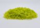 Растительность (салатовый цвет), фолиаж. Arion Models AM.V155, 15 г