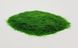 Трава (темно-зеленая), флок 3 мм. Arion Models AM.G005, 20 г